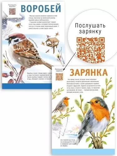 Набор мини-плакатов "Природа России. Птицы-с живыми голосами" (12 шт) Формат А4