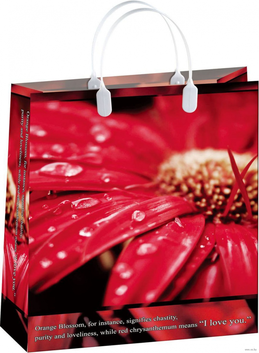 Пакет пластиковый подарочный "Капли на красном цветке" (БОЛЬШОЙ)