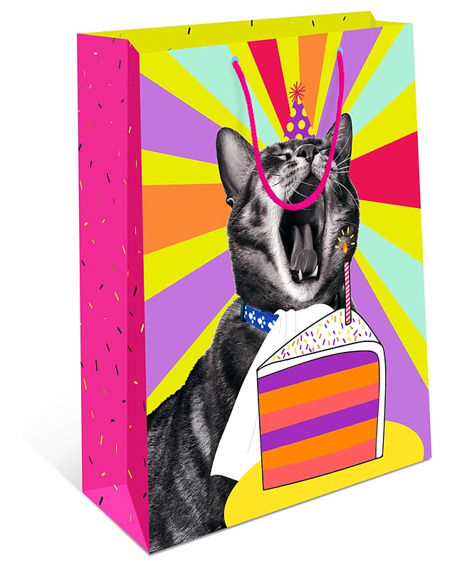 Пакет подарочный "Кот с тортом" (ВС)
