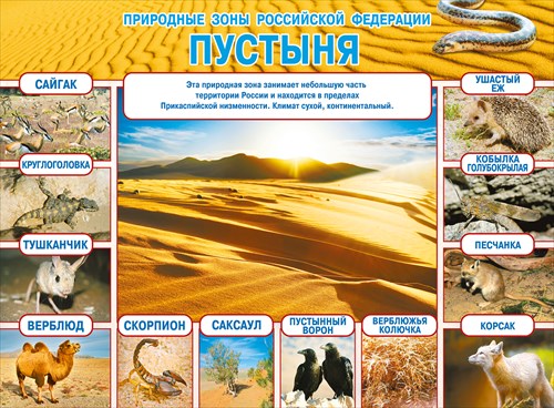 Плакат "Природные зоны Российской Федерации. Пустыня" Формат А2