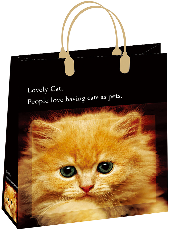 Пакет пластиковый подарочный "Рыжий котёнок" (МАЛЫЙ)