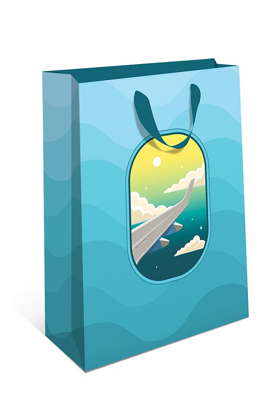 Пакет подарочный СТАНДАРТ ПЛЮС "Иллюминатор" (АА+)