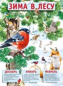 Плакат "ЗИМА в лесу" Формат А2
