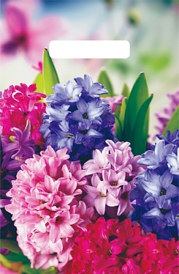 Пакет полиэтиленовый с вырубной ручкой "Шармель" (20х30 см)