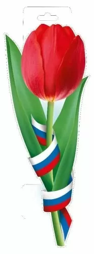 Плакат вырубной двусторонний "Тюльпан с флагом" Формат А4