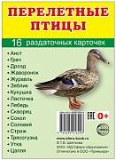 Раздаточные карточки " Птицы России" (для изучения английского языка)