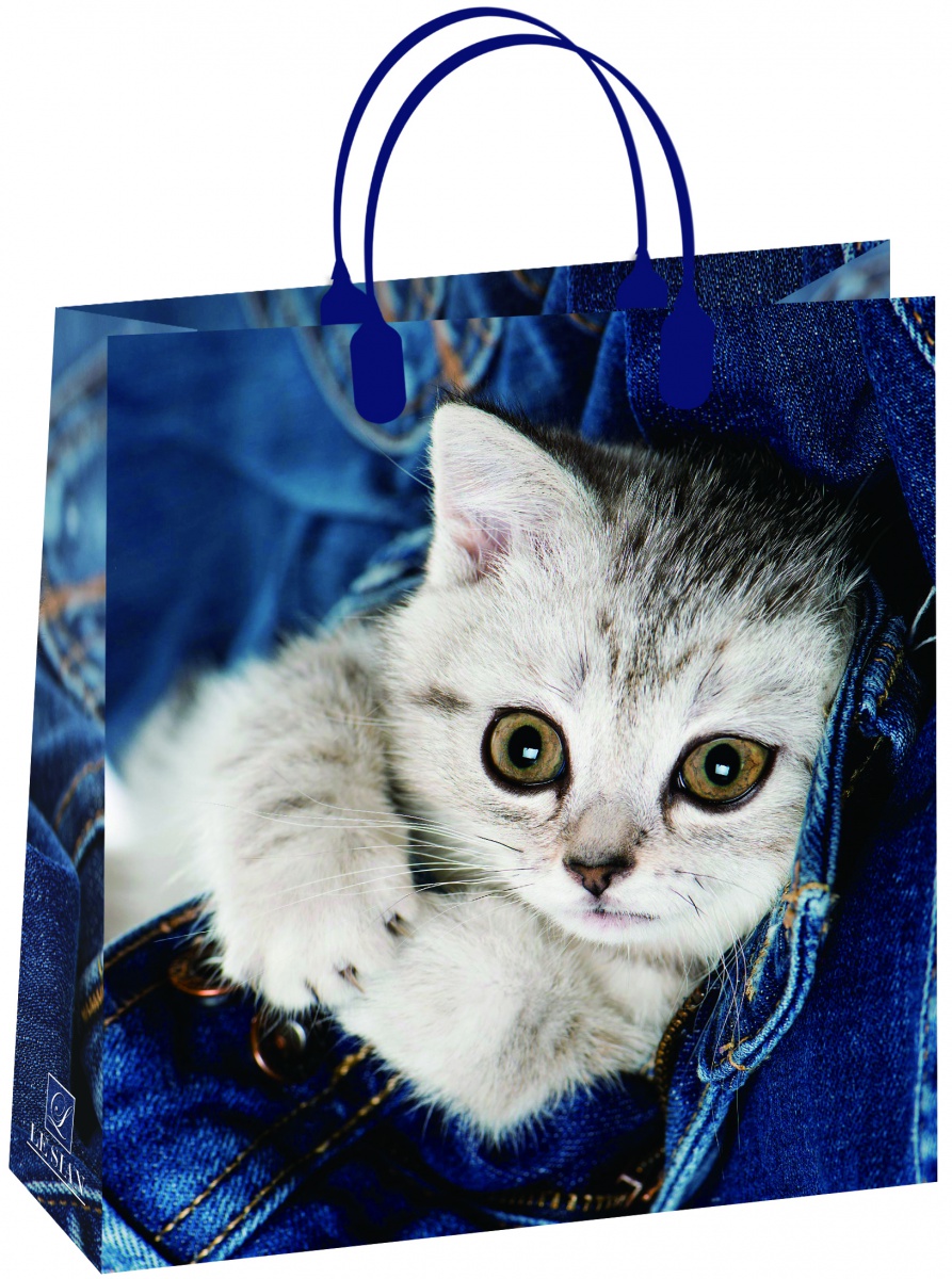 Пакет пластиковый подарочный "Белый котёнок" (МАЛЫЙ)