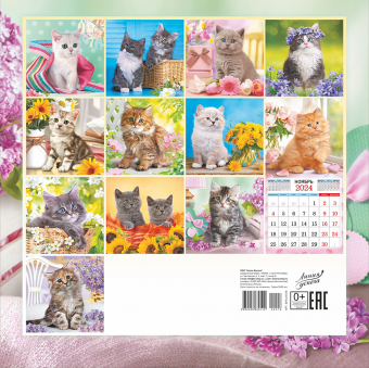 Календарь перекидной настенный БОЛЬШОЙ на скрепке "Кошки"