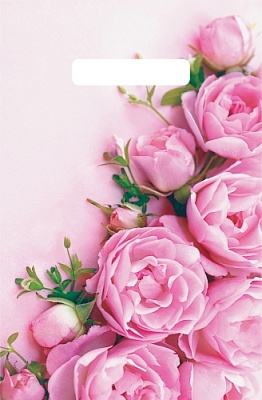 Пакет полиэтиленовый с вырубной ручкой "Нэнси" (20х30 см)