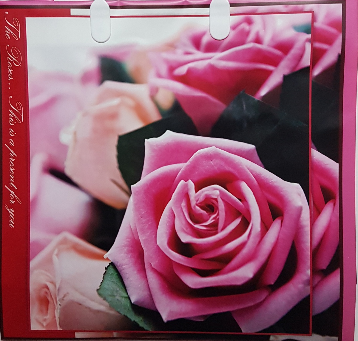 Пакет пластиковый подарочный "Розовые розы" (СРЕДНИЙ)