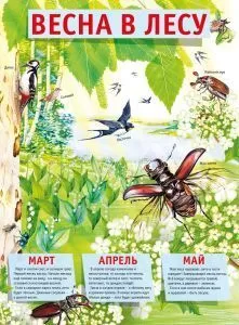 Плакат "ВЕСНА в лесу" Формат А2