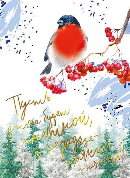 Карточка новогодняя "Пусть зима будет снежной, а сердце-горячим и нежным" Отделка. Без текста