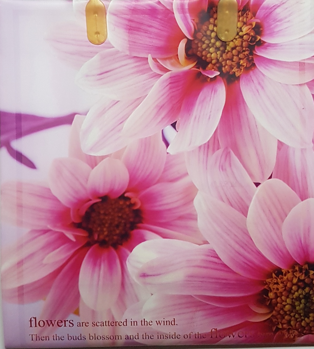 Пакет пластиковый подарочный "Розовые цветы" (МАЛЫЙ)