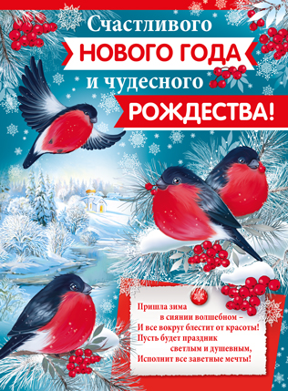 Плакат новогодний "Счастливого Нового Года и чудесного Рождества!" Формат А2
