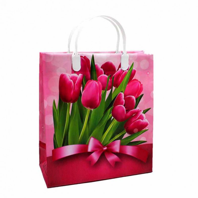 Пакет пластиковый подарочный "Тюльпаны в подарок" (МАЛЫЙ)