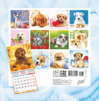 Календарь перекидной настенный СРЕДНИЙ на скрепке "Милый друг. Собаки"