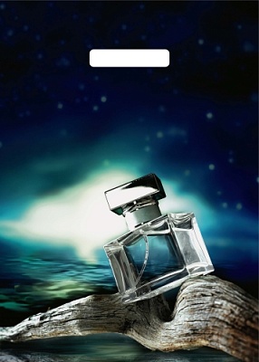 Пакет полиэтиленовый с вырубной ручкой "Мужской аромат" (29х40см)