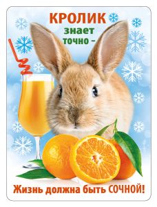 Магнит виниловый декоративный "Кролик знает точно-жизнь должна быть сочной!"